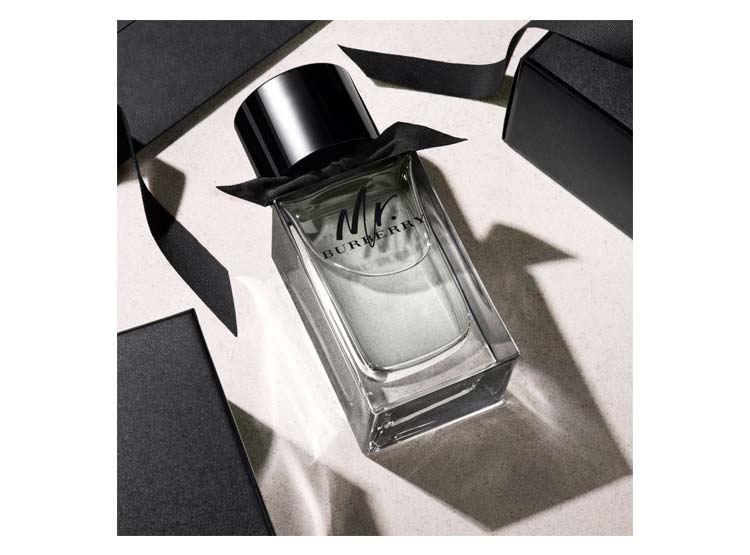 Burberry Mr Burberry 100ML EDP