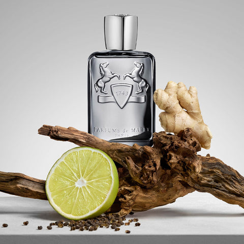 Parfums De Marly Castley EDP 125ML